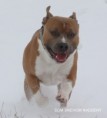 /album/fotogaleria/img-8370-jpg/