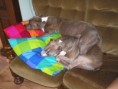 /album/fotogaleria/p1010032-jpg/