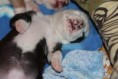 /album/fotogaleria/img-8636-jpg/