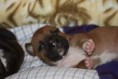 /album/fotogaleria/img-8685-jpg/